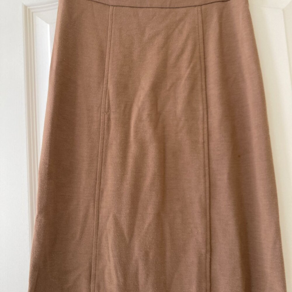BCBG Skirt